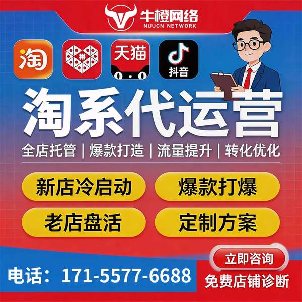 平顶山电商代运营