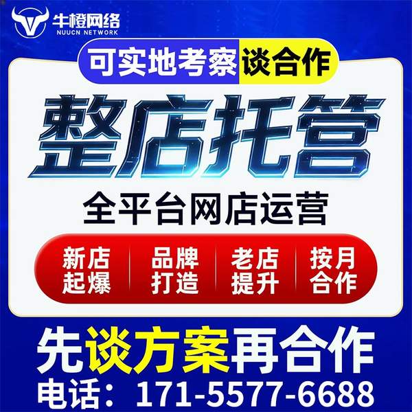 平顶山电商代运营