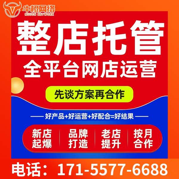 平顶山电商代运营