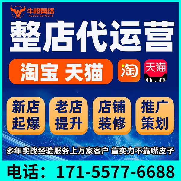 平顶山电商代运营