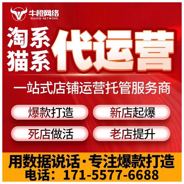 平顶山电商代运营
